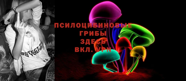 спиды Абаза