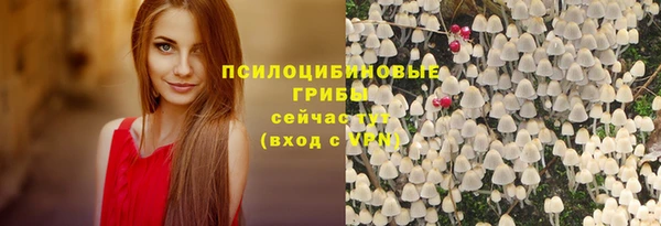 спиды Абаза